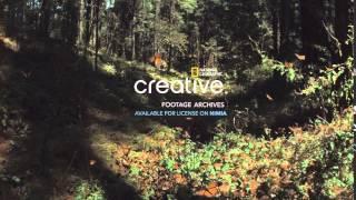 National Geographic Creative Footage Library