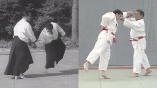 The most important and ignored principle in judo and aikido