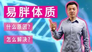 “易胖体质”是怎么回事？你一吃就胖，那谁怎么吃都不胖，凭什么？王博士解密“易胖体质”