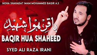 Shahadat Imam Baqir Noha | Baqir Hua Shaheed | 7 Zilhaj Noha | Ali Raza Irani