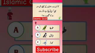 Best Islamic Question Answers | Dilchasp Islami Malomat |Islamic Sawal Jawab | Urdu Quiz - Paheli