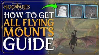 Hogwarts Legacy - How To Get THESTRAL MOUNT / Onyx Hippogriff / Flying Mounts - Dark Arts Pack Guide