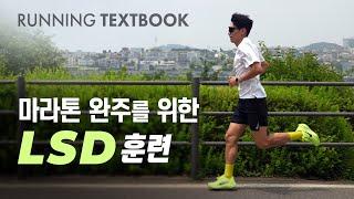 성공적인 마라톤 완주를 위한 LSD 훈련 | RUNNING TEXTBOOK #5