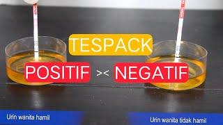 PERBEDAAN HASIL TESTPACK POSITIF VS NEGATIF | CARA BENAR PAKAI TESTPACK