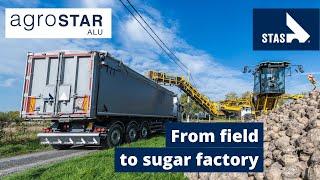 A sweet job: from field to sugar factory with the STAS Agrostar