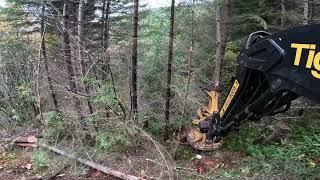 Trying out the bigger T-Winch 30.2 with the LX870D