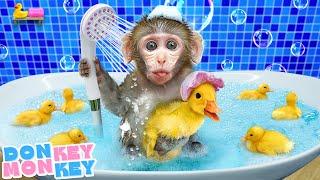  The Bath Song  Let's Bathe with Ducklings | Donkey Monkey - Nursery Rhymes