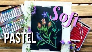 SOFT PASTEL Drawing on BLACK PAPER || How to Draw Flowers