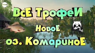 РУССКАЯ РЫБАЛКА 4 (RUSSIAN FISHING 4) - ВСЕ ТРОФЕИ. НОВОЕ ОЗ. КОМАРИНОЕ.