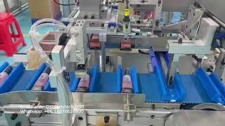 Automatic carton packing machine for tube products #cartonpackingmachinery