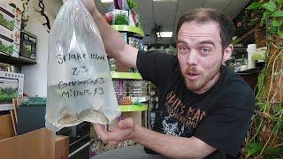 Fish Delivery Unboxing (Snake Island Exotics)#aquarium #unboxing #fish