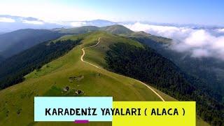 KARADENİZ YAYLALARI  ( ALACA YAYLASI )