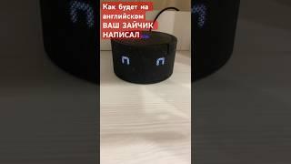 Алиса отвечает на вопросы #4 как будет на английском Ваш зайчик написал