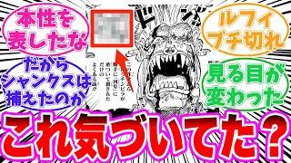 【最新1128話】バルトロメオはルフィを◯◯扱いしていることに気づいてしまった読者の反応集【ワンピース】