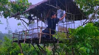 Heavy Rain Camping - Hit by heavy rain repeatedly while camping in an old tree house