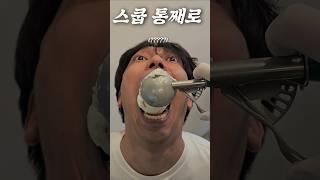 젤라또 스쿱째로 한입에 넣었습니다
