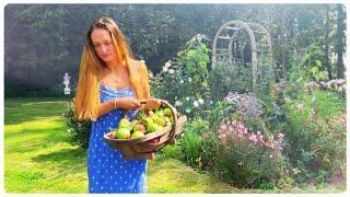 Punting in Cambridge, making fresh apple juice, and the botanical gardens 