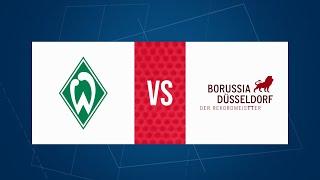 SV Werder Bremen - Borussia Düsseldorf   (TTBL, 2024/25)