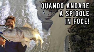 Speciale SPIGOLA - QUANDO andare a SPINNING in FOCE!