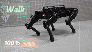 Quadruped Robot Walk Hiwonder PuppyPi