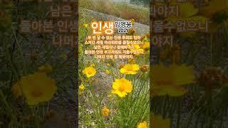 인생  #임영웅#트로트#2021임영웅신곡#사랑의콜센타