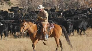 John Moore Horse & Cattle Course USA