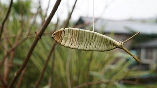 Making a Rush and Willow Fish with Linda Lemieux - Old Skills New Ways - For Teachers