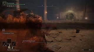 Bogdan G Live Stream