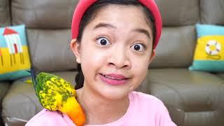 KAYCEE'S PET PARROT, SUNNY THE CONURE | KAYCEE in WONDERLAND FAMILY