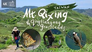 [Taiwan Vlog 5] Climbing the highest peak in Taipei - Mt. Qixing + Qingtiangang Grassland