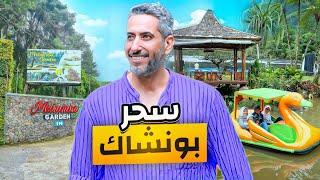 لحظات لا تنسى مع هالاجواء الساحرة في #بونشاك #اندونيسيا