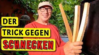 Mein neuer Trick gegen die Nacktschnecken