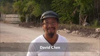 DAVID CHEN  POSITIVE VIBES IN JAMAICA  FINAL