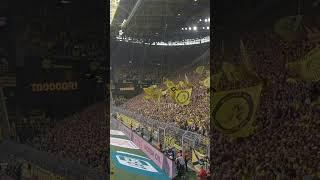 Tor Juble Paco Alcacer | Borussia Dortmund Signal Iduna Park | 17.08.2019 | Bundesliga