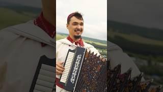 Душа разворачивается #harmonica #accordion #гармонь #баян