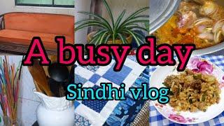 A busy day /my daily routine  🪴🪡️/sindhi vlog 