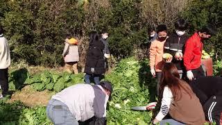 학교텃밭체험(무수확 활동)