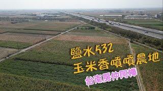 『台南土地空拍』鹽水532玉米香噴噴農地｜台南好房｜台南房仲｜幸福家不動產｜文元加盟店｜台南｜台南買屋｜台南買房｜鹽水農地｜農保｜影音看屋｜土地空拍｜台南房仲阿樺｜台南ProHouse