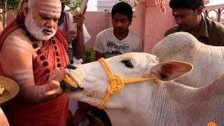 SRINGERI JAGADGURU BHARATHI THEERTHA SONG JAYADEVA BHAJAN