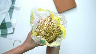 #KFreshMY: Korean Soybean Sprout