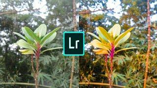 Lightroom photo editing tutorial 2018 rakesh photo editing and lifestyle