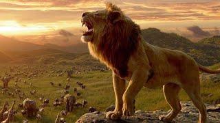 शेर की असली दहाड़ ! The Lion King !Sher Ki Dahad !Whatsapp Status !Lion Roar Status video शेर का आवाज