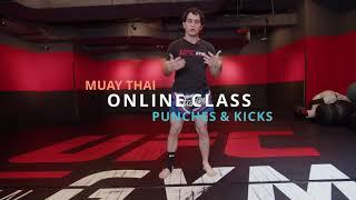 Muay Thai ONLINE CLASS - Punches & Kicks full workout  (UFC GYM Taiwan)