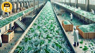 How Are Over 130 Million Tons of Glass Recycled? Secrets from the Factory!