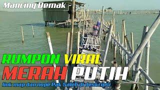 Explore Rumpon Merah Putih || Rumpon Pak Saleh || Rumpon Kakap Morosari Demak