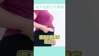 告訴你肚子大、無法瘦小腹的三個真相！3 truths About Losing Belly Fat That You Can't Ignore!#減肥#瘦小腹#瘦肚子#邱正宏#shorts