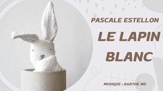 LE LAPIN BLANC - Comptine de Pascale Estellon - Mis en musique et interprété par Agathe MD