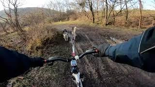 Bikejöring with two huskies