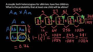 How to solve simple probability problems in genetics