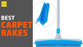 7 Best Carpet Rakes 2020